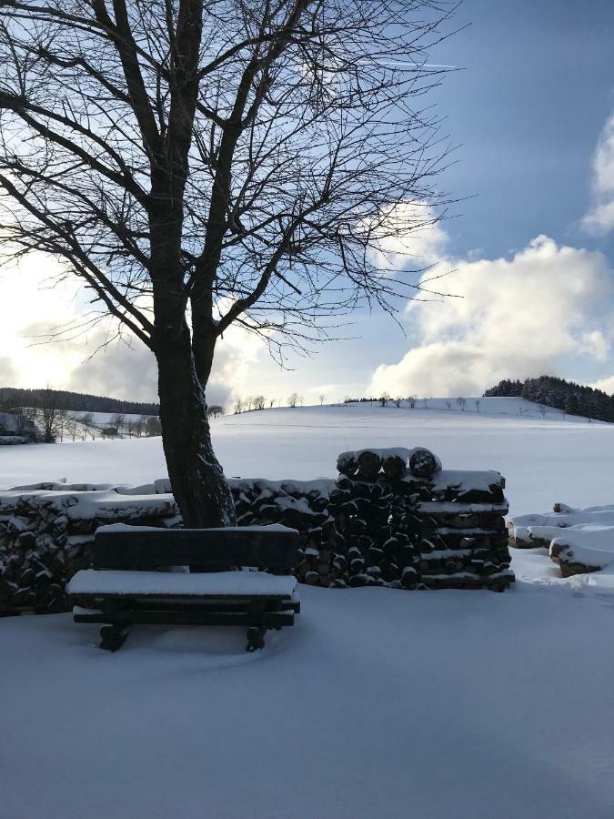 Ferienwohnung Haus Friederike Ab 6 Uebernachtungen, Inclusive Meine Card Plus Willingen  Eksteriør bilde